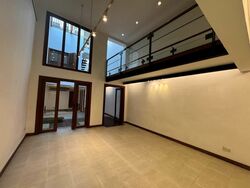 Emerald Hill Conservation Area (D9), Terrace #496535841